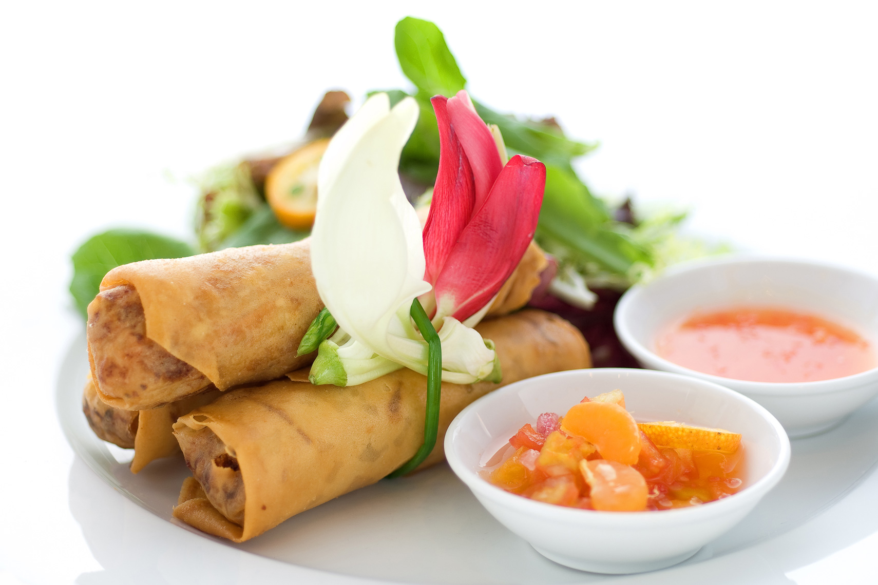 F003_food_shot_springrolls.jpg